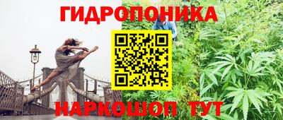 молекула духа Нальчик