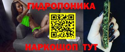 молекула духа Нальчик