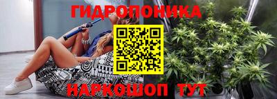 молекула духа Нальчик