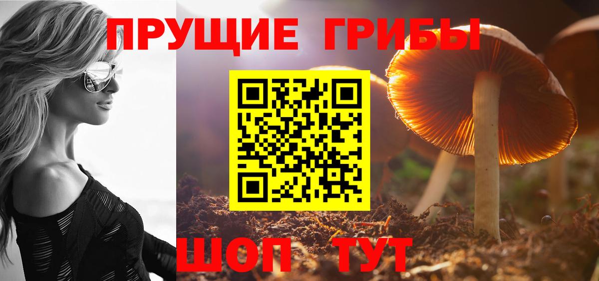 Алексеевка  Галлюциногенные грибы Psilocybe  Псилоцибиновые грибы Cubensis  Вход с VPN 