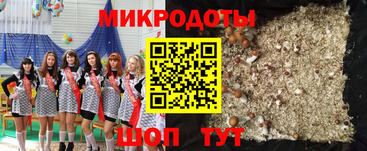 Галлюциногенные грибы прущие грибы Алексеевка